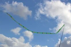 Gradient Tail -Günstiger Spielzeug Geschäft gradient tail green2