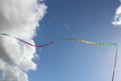 Gradient Tail -Günstiger Spielzeug Geschäft gradient tail rainbow1