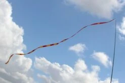 Gradient Tail -Günstiger Spielzeug Geschäft gradient tail red1