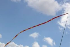 Gradient Tail -Günstiger Spielzeug Geschäft gradient tail red2