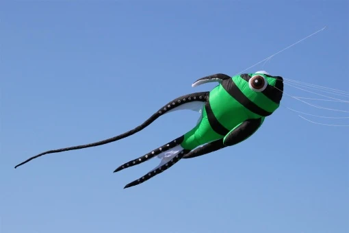 Cardinal Fish 7m 3 Cardinal Fish 7m