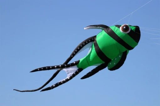 Cardinal Fish 7m 4 Cardinal Fish 7m – Bild 2