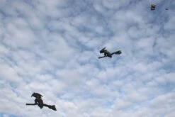 Hexe Auf Besen -Günstiger Spielzeug Geschäft hexe 3