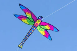 Ecoline Dragonfly
