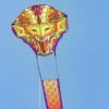 Dragonhead Kite -Günstiger Spielzeug Geschäft hq ecoline dragonhead1