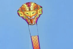 Dragonhead Kite