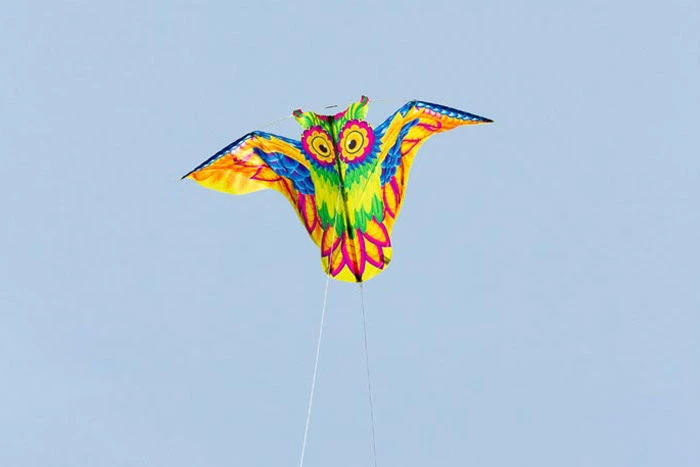 Flashy Owl Kite 3 Flashy Owl Kite