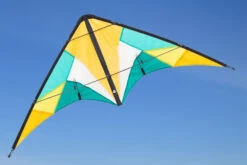 Quickstep II Blossom