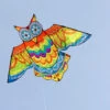 Jazzy Owl Kite -Günstiger Spielzeug Geschäft jazzy owl