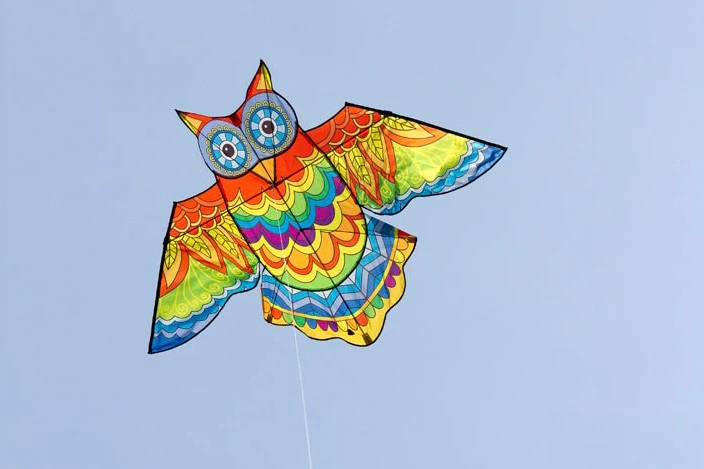 Jazzy Owl Kite 3 Jazzy Owl Kite