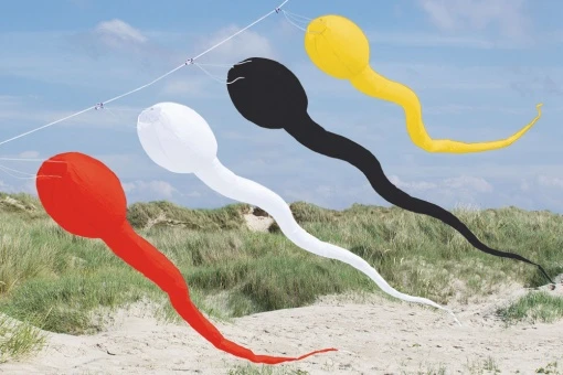 Windsack Kaulquappe 3 Windsack Kaulquappe