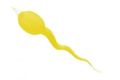 Windsack Kaulquappe 10 Windsack Kaulquappe -Günstiger Spielzeug Geschäft kaulquappe gelb