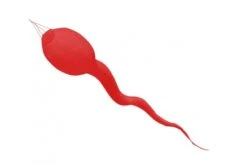 Windsack Kaulquappe 9 Windsack Kaulquappe -Günstiger Spielzeug Geschäft kaulquappe rot