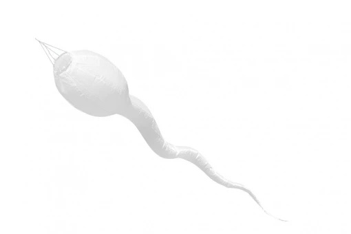 Windsack Kaulquappe 4 Windsack Kaulquappe – Bild 2