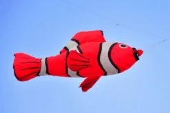 Lucky Fish -Günstiger Spielzeug Geschäft luckyfish rot