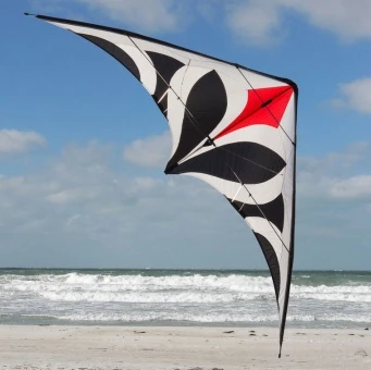 Maraca Light 5 Maraca Light – Bild 3