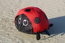 Günstiger Spielzeug Geschäft -Günstiger Spielzeug Geschäft marienkaefer2