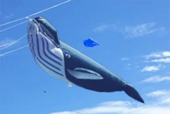 Micro Whale Navy Blue