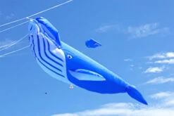 Micro Whale Royal Blue