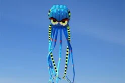 Octopus Kite 8m Mit Augenbrauen -Günstiger Spielzeug Geschäft octo8m eyebrows blue