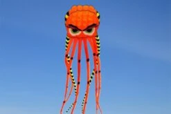 Octopus Kite 8m Mit Augenbrauen