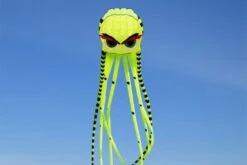 Octopus Kite 8m Mit Augenbrauen -Günstiger Spielzeug Geschäft octo8m eyebrows yellow
