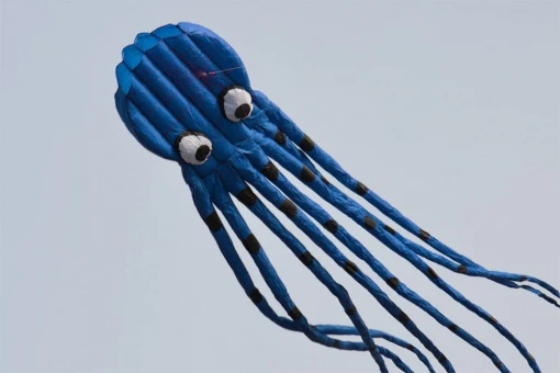 Octopus Kite 8m 5 Octopus Kite 8m – Bild 3