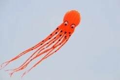 Octopus Kite 8m 11 Octopus Kite 8m -Günstiger Spielzeug Geschäft octo8m orange