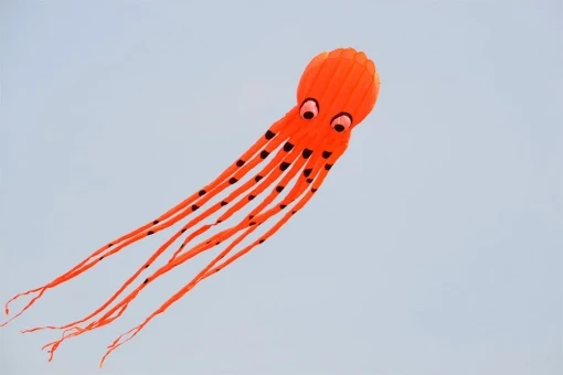 Octopus Kite 8m 6 Octopus Kite 8m – Bild 4