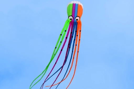 Octopus Kite 8m 8 Octopus Kite 8m – Bild 6