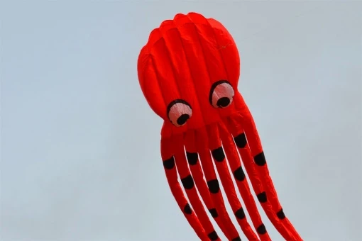 Octopus Kite 8m 4 Octopus Kite 8m – Bild 2