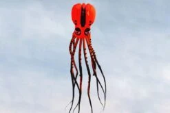 Octopus Kite 10m