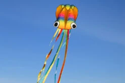 Octopus Kite Kids