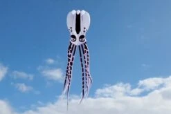 Octopus Kite 10m -Günstiger Spielzeug Geschäft octopuskite10mwhite black