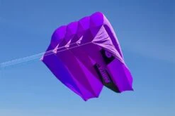 Peter Lynn Pawita 6m² -Günstiger Spielzeug Geschäft pawitapurple