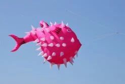 3m Ballon Fish -Günstiger Spielzeug Geschäft pink puffer1