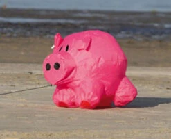 Bouncing Buddy Porky