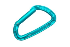Karabiner Edelrid Pure Straigth Icemint