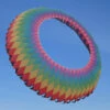 Ring Kite 6m Bunt