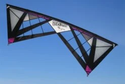 Revolution Reflex RX Spider Web -Günstiger Spielzeug Geschäft rxspider purple