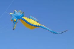 Seepferd 5m -Günstiger Spielzeug Geschäft seepferd5m blaugelb