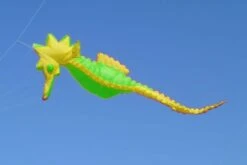 Seepferd 5m -Günstiger Spielzeug Geschäft seepferd5m gelb gruen