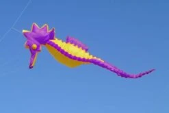 Seepferd 5m -Günstiger Spielzeug Geschäft seepferd5m lilagelb