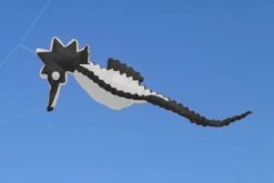 Seepferd 5m -Günstiger Spielzeug Geschäft seepferd5m schwarzweiss