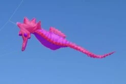 Seepferd 5m -Günstiger Spielzeug Geschäft seepferd pink lila