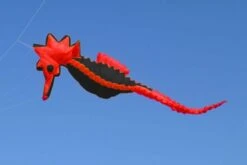 Seepferd 5m -Günstiger Spielzeug Geschäft seepferd rot schwarz1