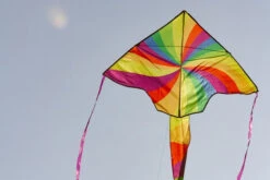 Simple Flyer 120 Rainbow Vortex