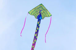 Simple Flyer 120 Peacock