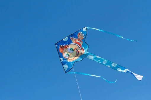 Simple Flyer 120 Jaques 4 Simple Flyer 120 Jaques – Bild 2