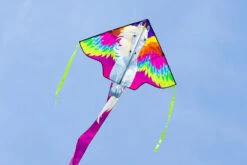 Simple Flyer 120 Pegasus